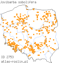 wystepowanie - Jovibarba sobolifera (rojownik pospolity)