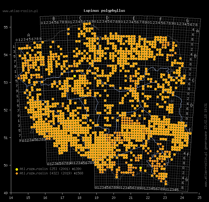 wystepowanie - Lupinus polyphyllus (łubin trwały)