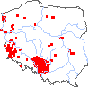 wystepowanie - Genista pilosa (janowiec włosisty)