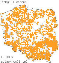 wystepowanie - Lathyrus vernus (groszek wiosenny)