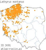 wystepowanie - Lathyrus montanus (groszek skrzydlasty)