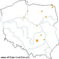 wystepowanie - Lathyrus pisiformis (groszek wielkoprzylistkowy)