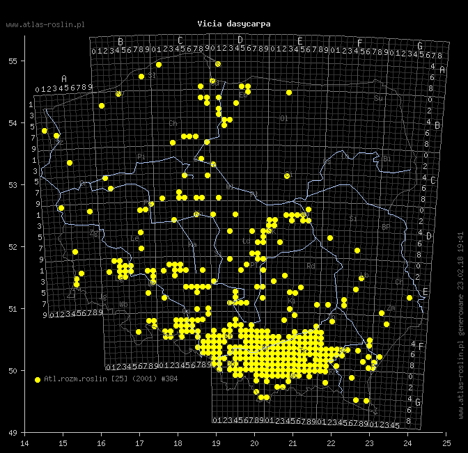 wystepowanie - Vicia dasycarpa (wyka pstra)