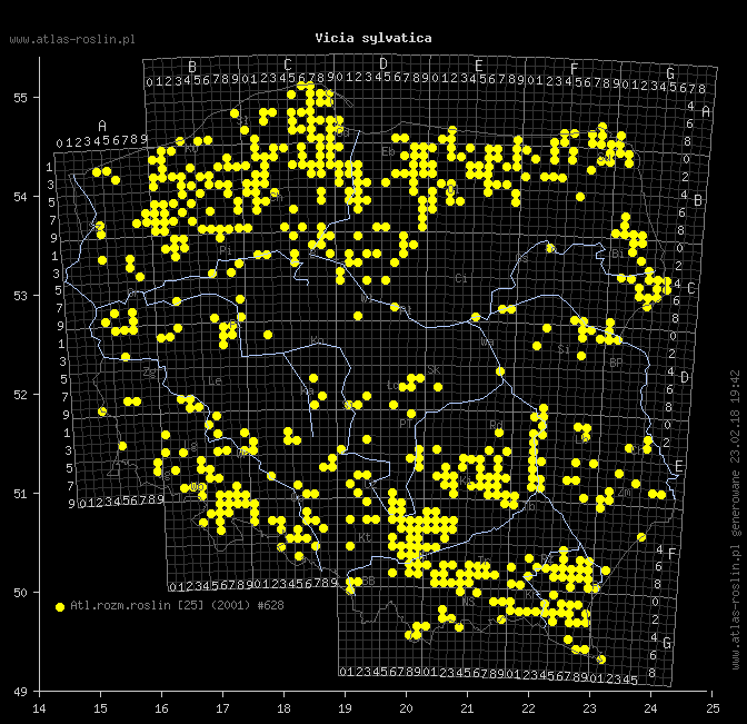 wystepowanie - Vicia sylvatica (wyka leśna)