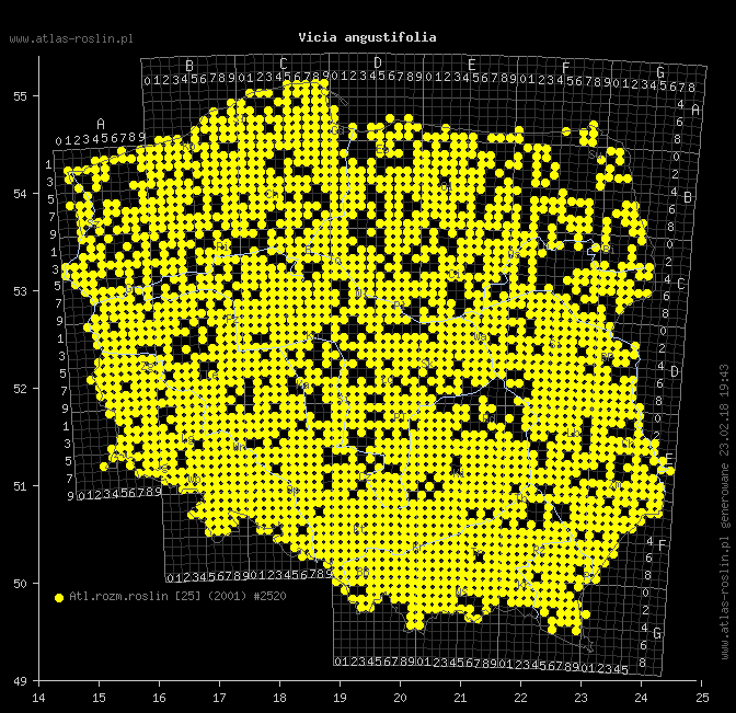 wystepowanie - Vicia angustifolia (wyka wąskolistna)