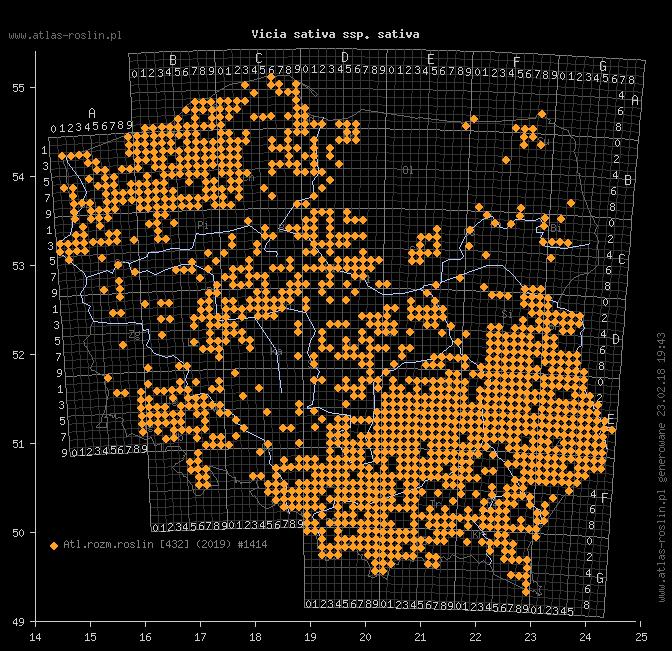 wystepowanie - Vicia sativa ssp. sativa (wyka siewna typowa)