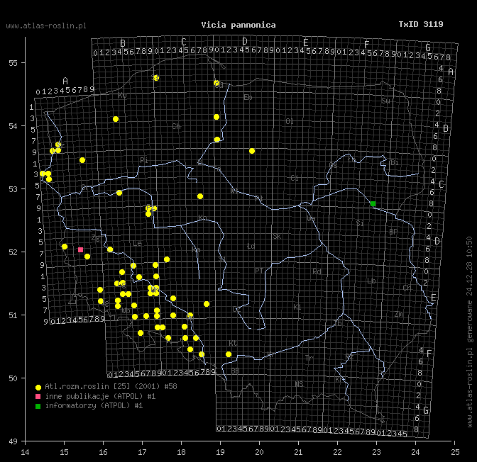 wystepowanie - Vicia pannonica (wyka pannońska)