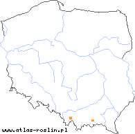 wystepowanie - Dorycnium herbaceum (szyplin zielny)