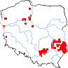 wystepowanie - Adonis vernalis (miłek wiosenny)