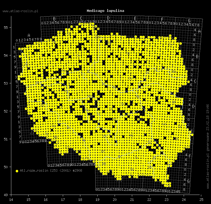 wystepowanie - Medicago lupulina (lucerna nerkowata)