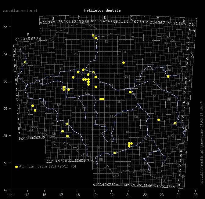 wystepowanie - Melilotus dentata (nostrzyk ząbkowany)