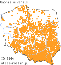 wystepowanie - Ononis arvensis (wilżyna bezbronna)