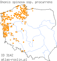 wystepowanie - Ononis spinosa ssp. procurrens (wilżyna rozłogowa)