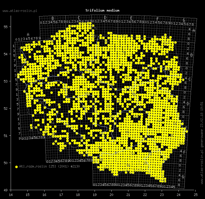 wystepowanie - Trifolium medium (koniczyna pogięta)