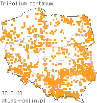 wystepowanie - Trifolium montanum (koniczyna pagórkowa)