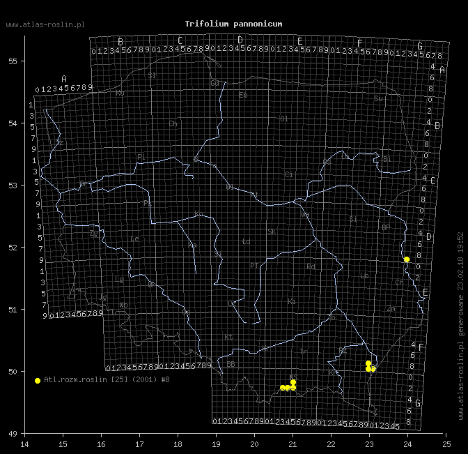 wystepowanie - Trifolium pannonicum (koniczyna pannońska)