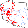 wystepowanie - Ailanthus altissima (bożodrzew gruczołowaty)