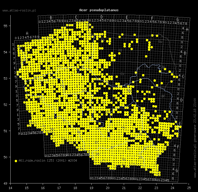 wystepowanie - Acer pseudoplatanus (klon jawor)