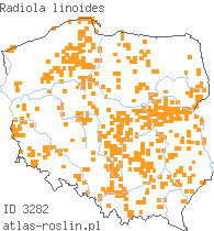 wystepowanie - Radiola linoides (lenek stoziarn)