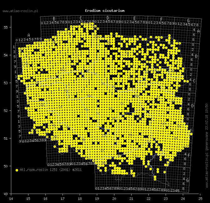 wystepowanie - Erodium cicutarium (iglica pospolita)