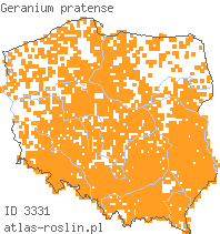 wystepowanie - Geranium pratense (bodziszek łąkowy)
