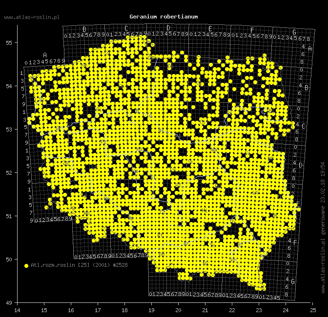 wystepowanie - Geranium robertianum (bodziszek cuchnący)