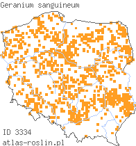 wystepowanie - Geranium sanguineum (bodziszek czerwony)