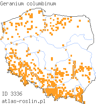 wystepowanie - Geranium columbinum (bodziszek gołębi)