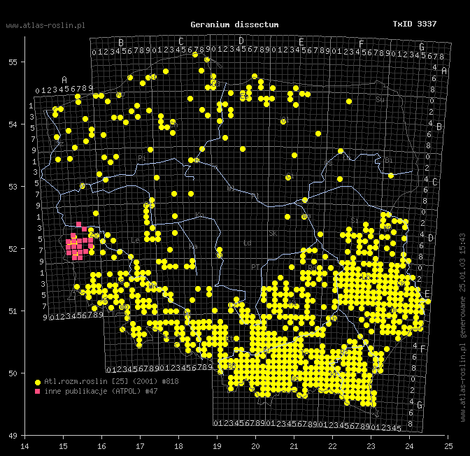 wystepowanie - Geranium dissectum (bodziszek porozcinany)