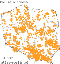 wystepowanie - Polygala comosa (krzyżownica czubata)