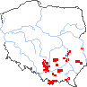 wystepowanie - Polygala amara ssp. brachyptera (krzyżownica gorzka górska)