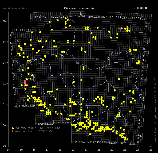 wystepowanie - Circaea intermedia (czartawa pośrednia)