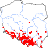 wystepowanie - Epilobium dodonaei (wierzbówka nadrzeczna)