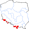 wystepowanie - Epilobium anagallidifolium (wierzbownica drobnolistna)