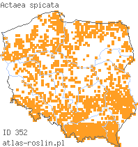 wystepowanie - Actaea spicata (czerniec gronkowy)