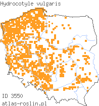 wystepowanie - Hydrocotyle vulgaris (wąkrota zwyczajna)