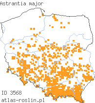 wystepowanie - Astrantia major (jarzmianka większa)