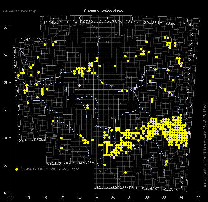 wystepowanie - Anemonoides sylvestris (zawilec wielkokwiatowy)