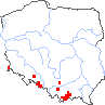 wystepowanie - Bupleurum falcatum (przewiercień sierpowaty)