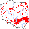 wystepowanie - Anemonoides sylvestris (zawilec wielkokwiatowy)