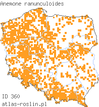 wystepowanie - Anemonoides ranunculoides (zawilec żółty)