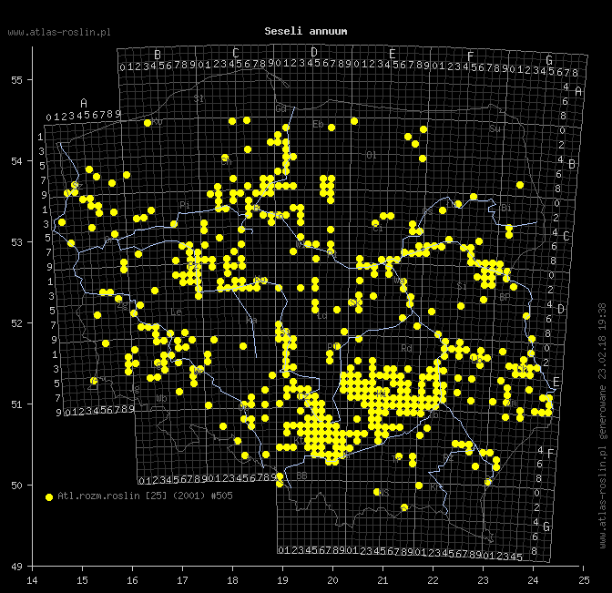 wystepowanie - Seseli annuum (żebrzyca roczna)