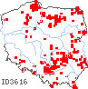 wystepowanie - Laserpitium latifolium (okrzyn szerokolistny)