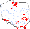 wystepowanie - Pleurospermum austriacum (żebrowiec górski)