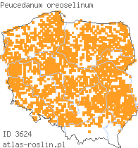 wystepowanie - Peucedanum oreoselinum (gorysz pagórkowy)