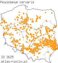 wystepowanie - Peucedanum cervaria (gorysz siny)