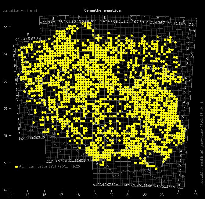 wystepowanie - Oenanthe aquatica (kropidło wodne)