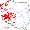 wystepowanie - Oenanthe fistulosa (kropidło piszczałkowate)