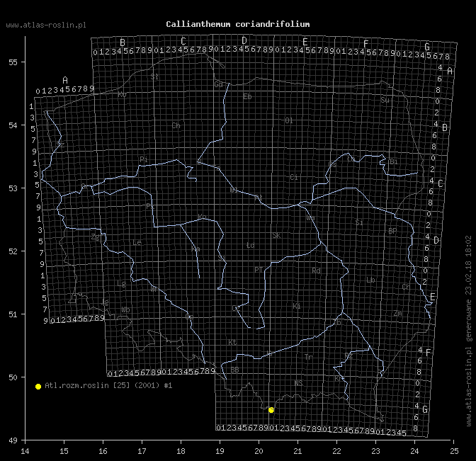 wystepowanie - Callianthemum coriandrifolium (rutewnik jaskrowaty)