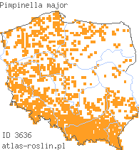 wystepowanie - Pimpinella major (biedrzeniec wielki)